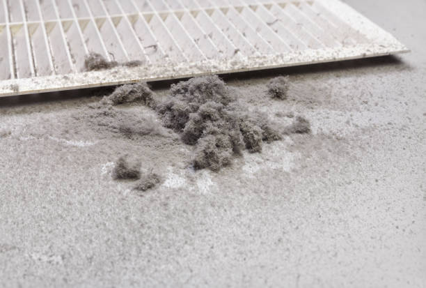 Best Home Air Vent Cleaning  in Arta, CA